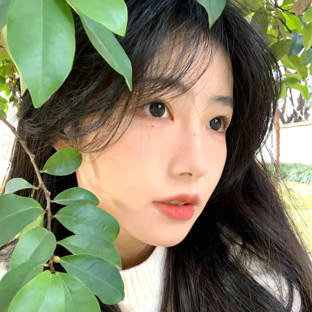 亲爱的司丞大人